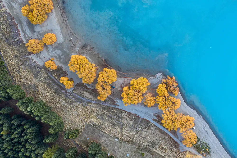 A view from above onto a green forest landscape