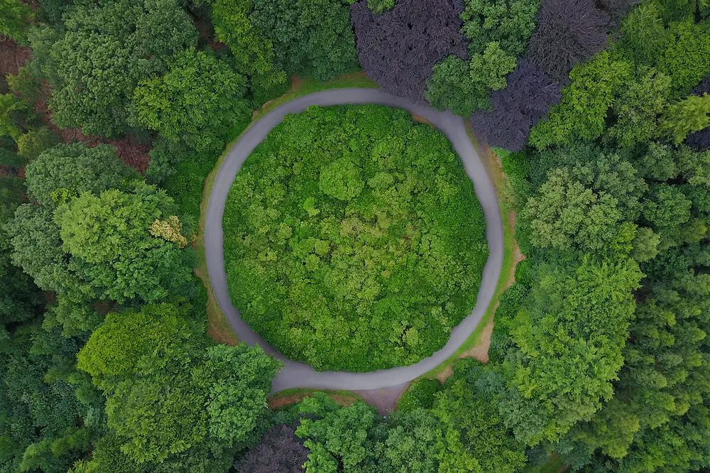 Circular pathway in the middle of a forest, seen from above